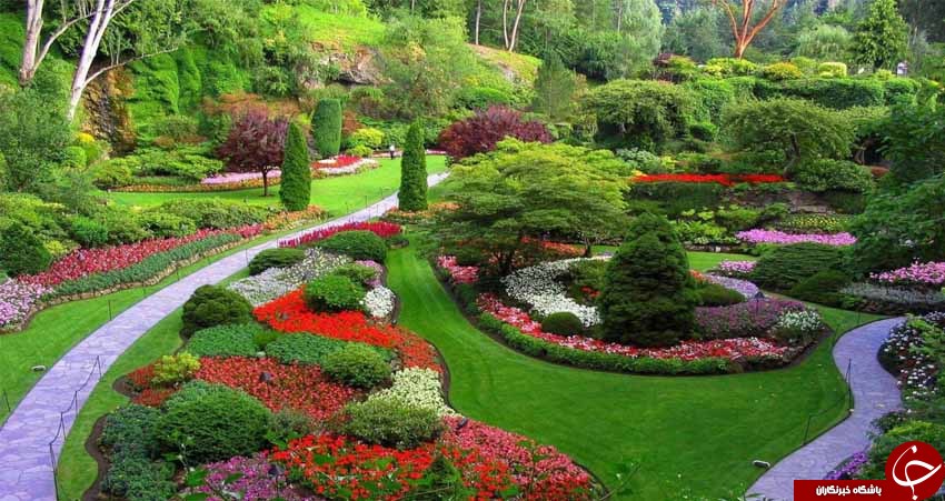 معرفی رشته فضای سبز و توانایی مورد نیاز تحصیل در این رشته معرفی رشته فضای سبز و توانایی مورد نیاز تحصیل در این رشته