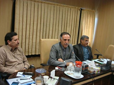کنجاله سویا با قیمت مصوب دولتی در اختیار مرغداران