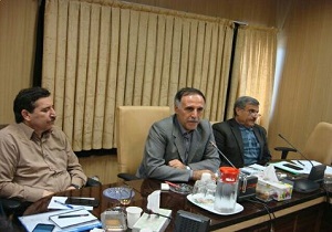 کنجاله سویا با قیمت مصوب دولتی در اختیار مرغداران