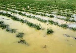 مقابله با آبگرفتگی اراضی روستایی