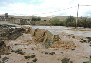 یک هزار و ۳۰۰ هکتار از اراضی کشاورزی لردگان خسارت دید
