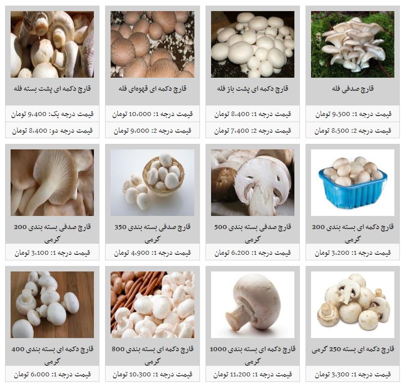 قیمت قارچ در غرفه تره بار