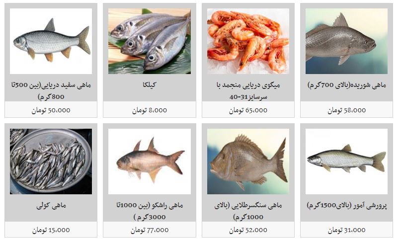 مظنه فروش ماهی در غرفه تره بار