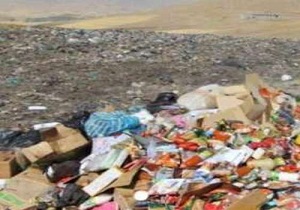 امحاء ۳  تُن مواد غذایی و آرایشی فاسد در دیواندره