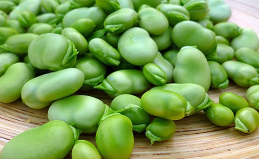 کم خونی، بیماری شایع در کودکان / مصرف قطره آهن را جدی بگیرید کم خونی، بیماری شایع در کودکان / مصرف قطره آهن را جدی بگیرید