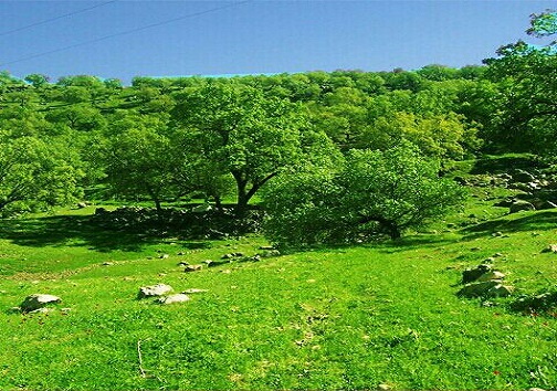 معرفی جاذبههای گردشگری میانه: معرفی جاذبههای گردشگری میانه: