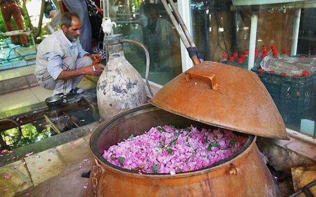 شهر بردسیر نگارستان طبیعت