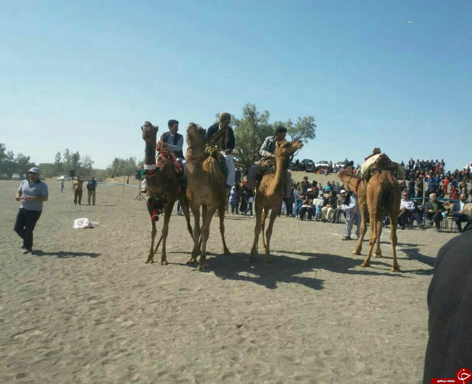 جشنواره بازی&zwnj;های بومی و محلی در روستای کدور نرماشیر + تصاویر