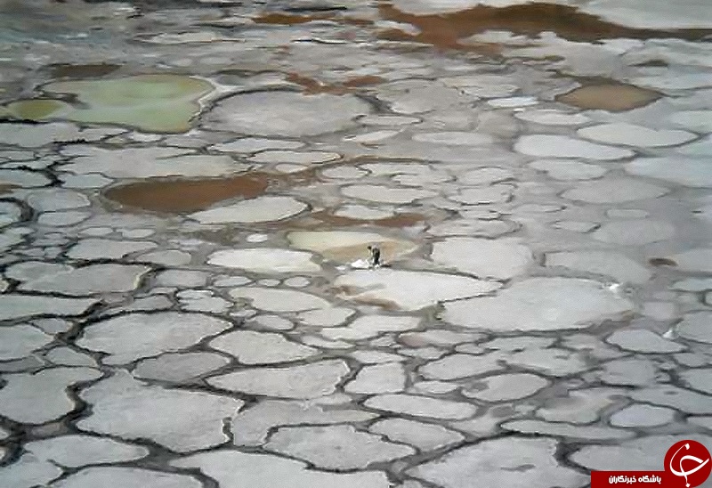 شهر توریستی راین زیر پای مسافران نوروزی