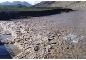 طغیان رودخانه گاماسیاب و در معرض سیل بودن هشت روستای این شهرستان