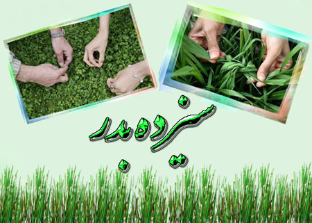 والپیپر و تصاویر پروفایل ویژه سیزده بدر سال ۹۸