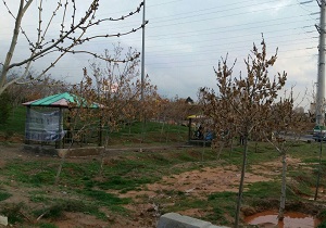 برخی از خانواده ها از امشب به استقبال روز طبیعت می روند