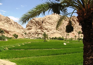 باز بودن  تمام مسیر روستاهای گردشگری طبس