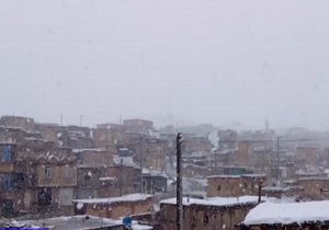 بارش برف همزمان با روز طبیعت در دیواندره + فیلم