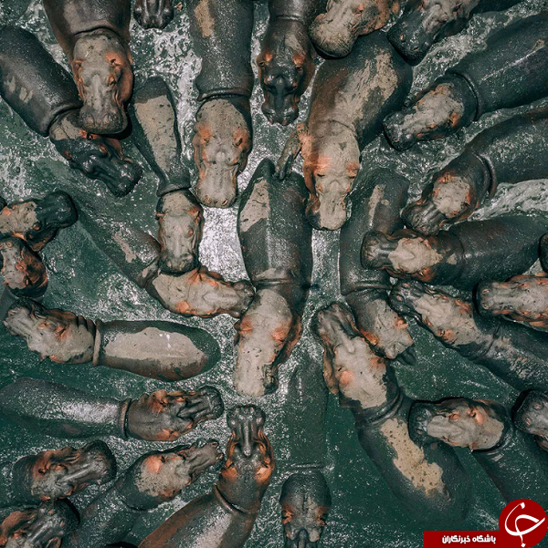 تصاویری خیر کننده از آثار نمایشگاه عکس&zwnj;های هوایی SkyPixel