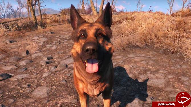 بهترین همراهان در بازی Fallout ۴ را بشناسید +تصاویر