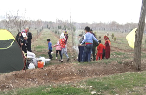 آغوش باز طبیعت به روی زنجانی ها