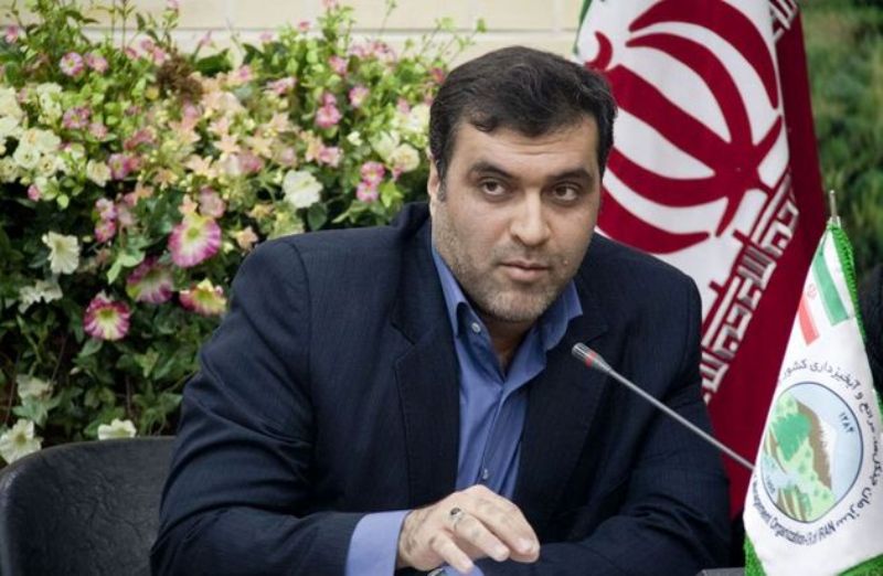 مشاور وزیر کشور برکناری فرماندار پلدختر را تکذیب کرد