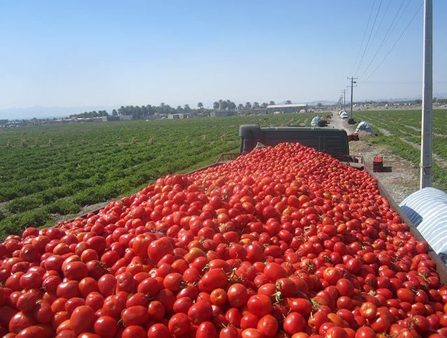 بازدید بیش از ۳۴۷ هزار مسافر از جاذبه&zwnj;های گردشگری شهرستان دیر