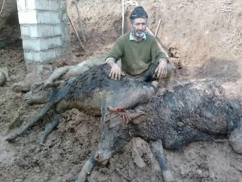 ۵ میلیون تومان کمک بلاعوض به سیل زدگان لرستان از شنبه پرداخت می شود