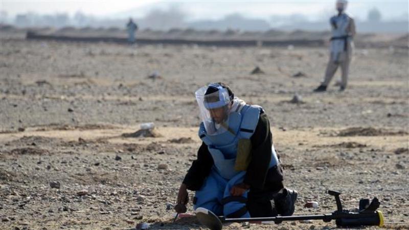 کشته و زخمی شدن ماهیانه ۱۲۰ افغان در انفجار مین