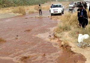 ضرورت انتقال اهالی ۱۰ روستای رودبار کوهدشت به نقاط امن