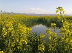 قطب گردشگری اصفهان کجا قرار دارد؟