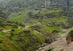 نمایی از طبیعت بکر و دست نخورده لرستان + فیلم