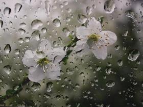 افزایش ۹۴ درصدی بارش‌ها در زنجان
