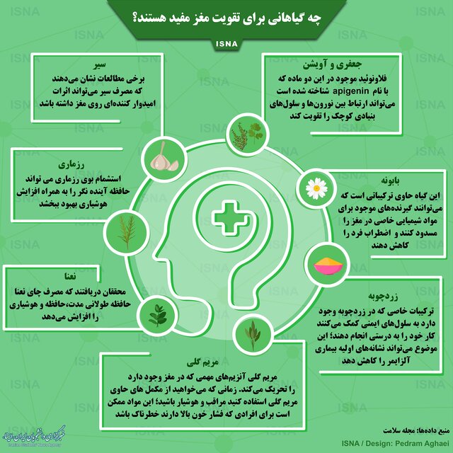 تقویت مغز با این گیاهان مفید است + اینفوگرافی