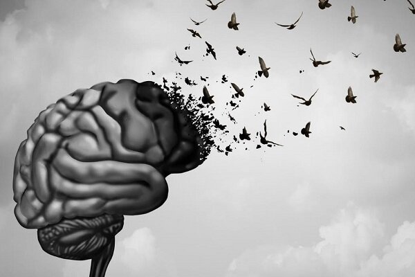 آیا امکان جوان کردن مغز وجود دارد؟