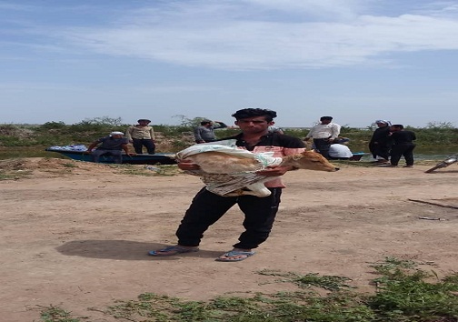حال روستاهای بخش شاوور شوش وخیم است+تصاویر