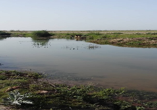 حال روستاهای بخش شاوور شوش وخیم است+تصاویر