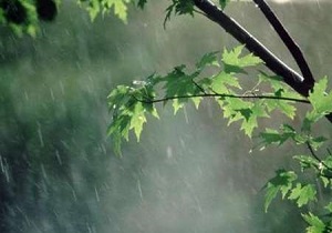 تداوم بارش‌های بهاری در کردستان تا اواسط هفته جاری