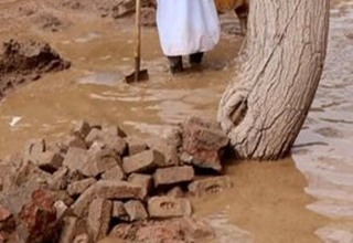 میهمانان ناخوانده مرگبار که پس از سیل بهاری سر و کله&zwnj;شان پیدا می&zwnj;شود!