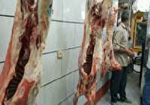 توزیع گوشت گرم گوسفندی