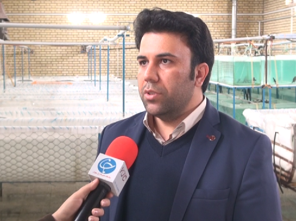 پرورش ماهی زینتی صنعتی رنگارنگ، زیبا و سودآور