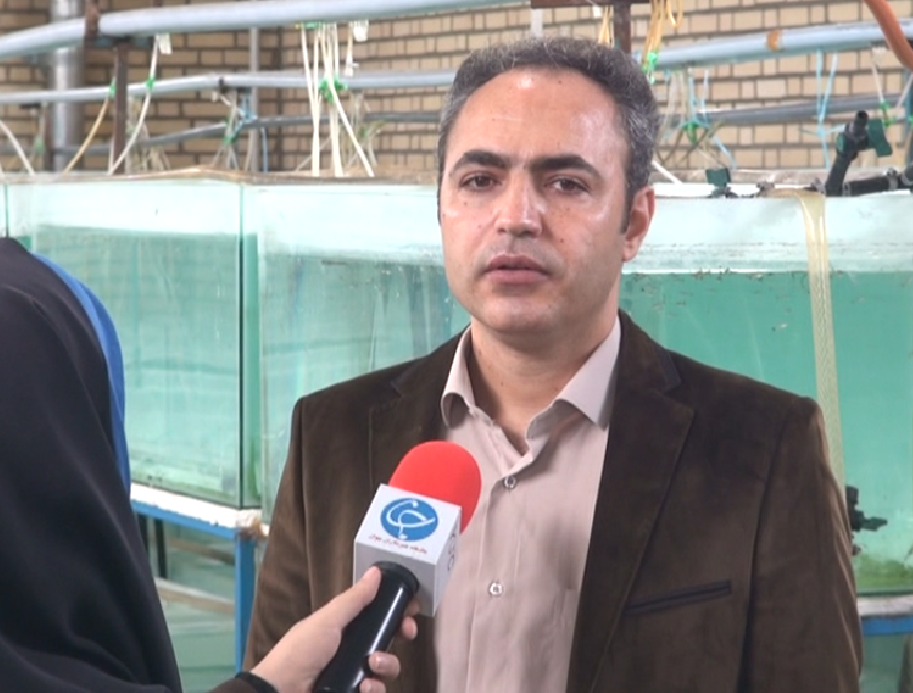 پرورش ماهی زینتی صنعتی رنگارنگ، زیبا و سودآور