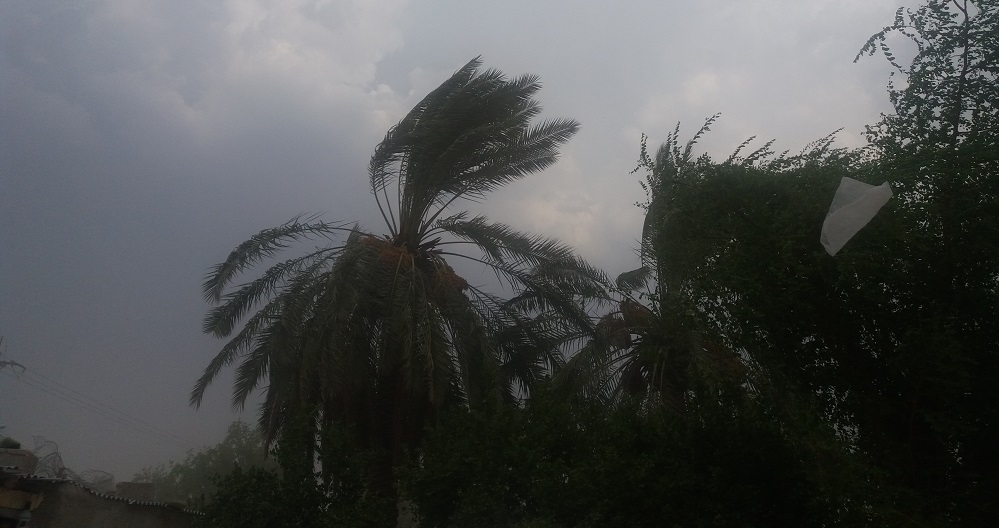 باد و باران کم وبیش تا آخر هفته ادامه دارد