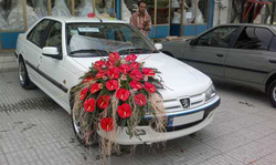کمر همت بستن در سنگر خدمت + فیلم