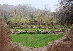 تصویب طرح الزام شهرداری تهران به ارائه لایحه فرآیند تملک باغات و ابنیه تاریخی