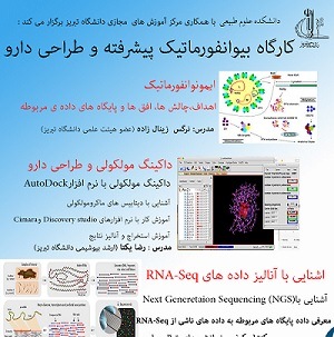 برگزاری کارگاه بیوانفورماتیک پیشرفته و طراحی دارو در تبریز