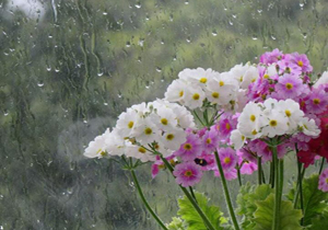 بارش‌ها تا روز سه شنبه ادامه دارد