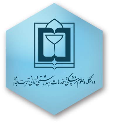 بیش از ۲۷۰ زایمان طبیعی در ایام نوروز در تربت جام انجام گرفت
