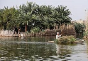 هدایت آب کارون به تالاب شادگان