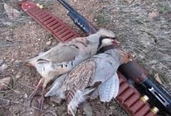 دستگیری ۳۰ نفر متخلف شکار و صید در ثلاث باباجانی