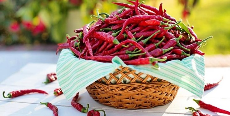 میوه&zwnj;ای که روند گسترش سرطان ریه را کند می&zwnj;کند