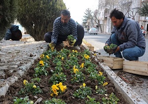 کاشت بیش از ۲۵ هزار جعبه گل در میادین شهر/تداوم عملیات عمرانی در اردبیل