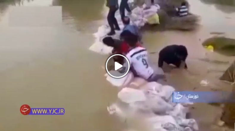 تلاش همگانی برای ساخت سیل بند در سوسنگرد تا بانک بذر خزری محمود آباد، نجات بخشِ جان ۲۰ تن بذر از ۱۵۰ گونه درخت+ فیلم