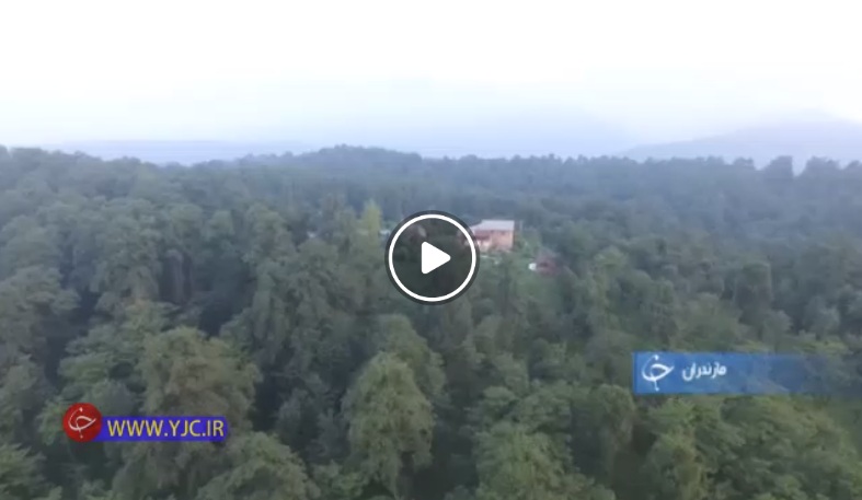 تلاش همگانی برای ساخت سیل بند در سوسنگرد تا بانک بذر خزری محمود آباد، نجات بخشِ جان ۲۰ تن بذر از ۱۵۰ گونه درخت+ فیلم